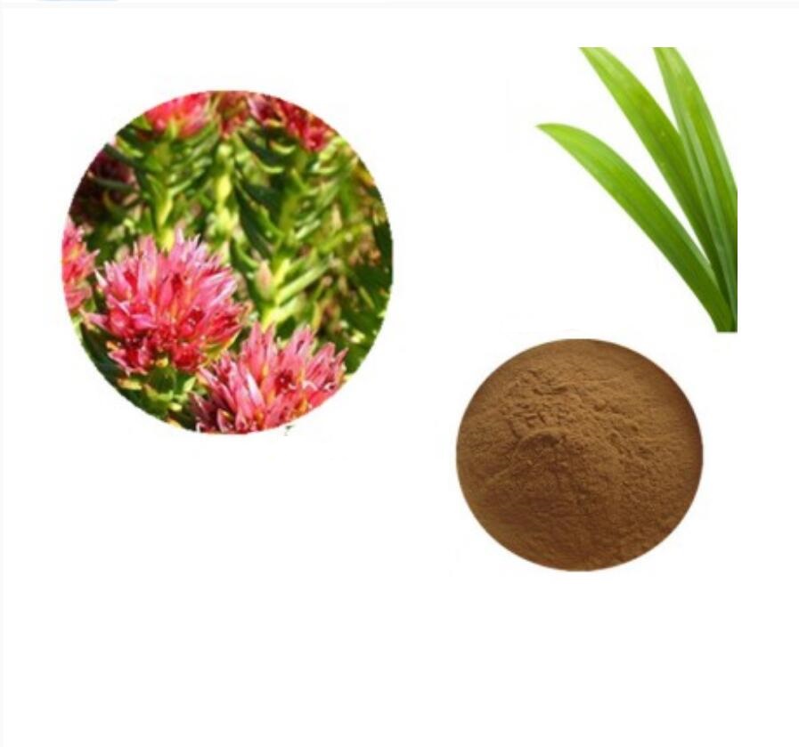最优惠的价格天然红景天根提取物粉末红景天苷供应商抗氧化